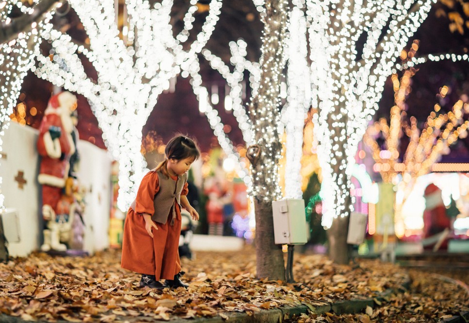 12월 가볼만한 곳 크리스마스 빛 축제 명소들 (겨울 데이트 명소)