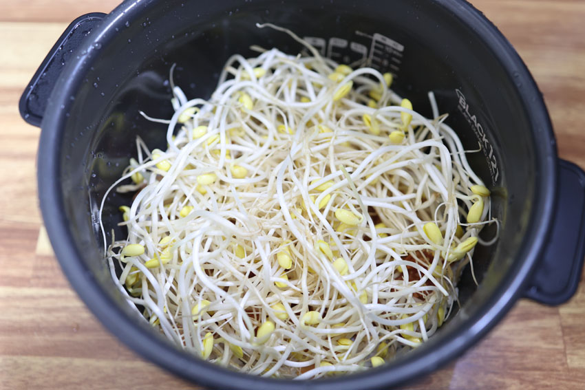 김치 콩나물비빔밥 콩나물밥 양념장 레시피 전기밥솥 콩나물밥 만들기 김치밥 만드는 법