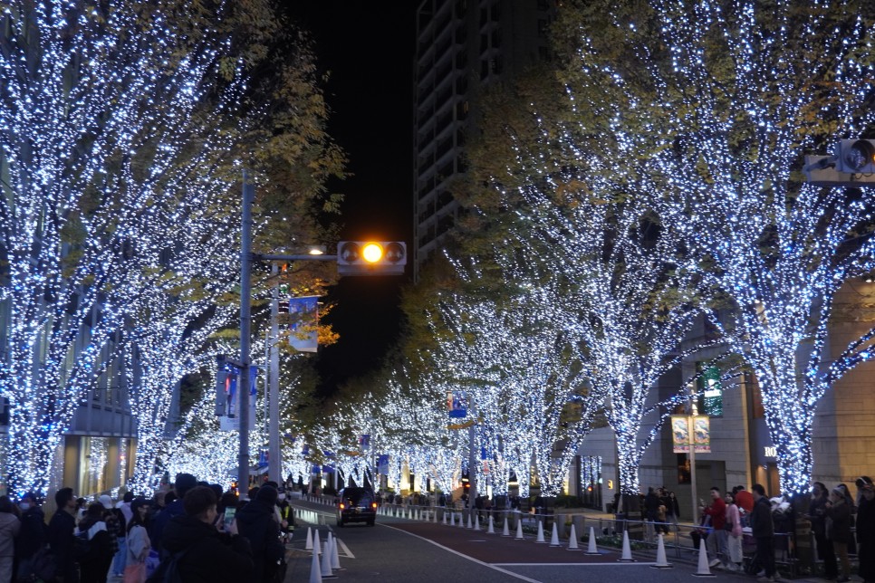 일본 포켓와이파이 도시락, EISM & 지금 도쿄 날씨 예보 12월 옷차림 #자유여행