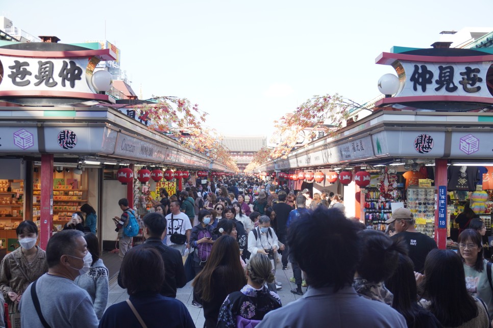 일본 이심 ESIM 사용법, 셀린느 가방 가격 면세 택스리펀 쇼핑리스트, 도쿄 아사쿠사 자유여행