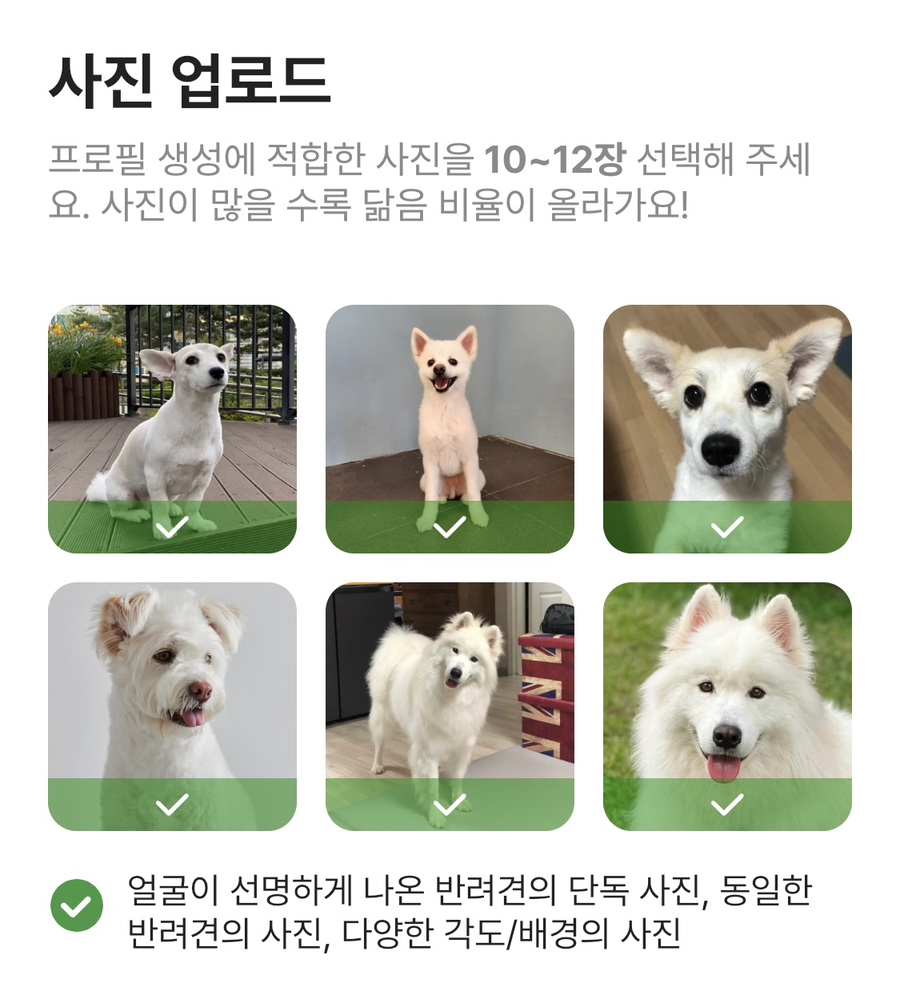 펫부스 어플 강아지 AI 프로필 내돈내산 후기..(+강아지 AI 디즈니 Bing 비교)