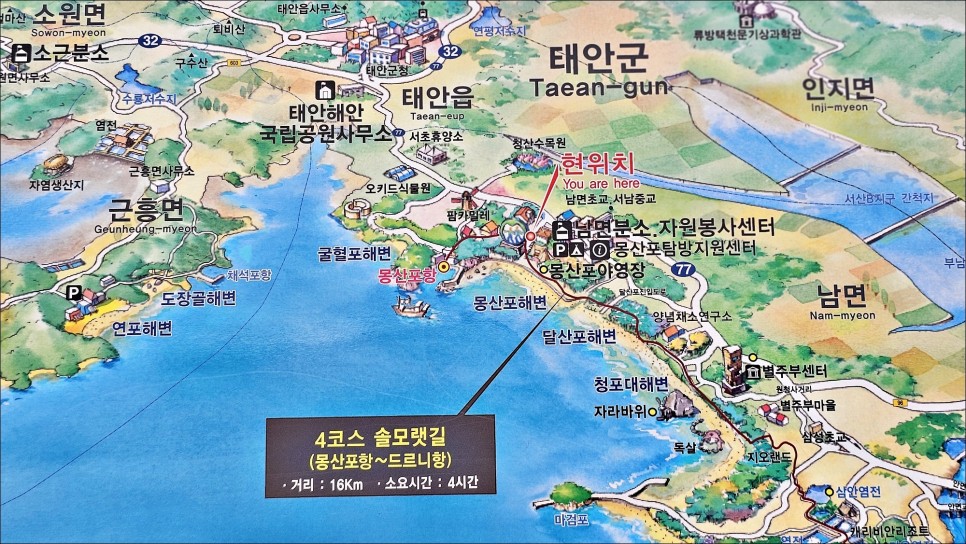 서해 바다 추천 태안 해변길 몽산포 캠핑장 전망대 두여해수욕장 서해안 주말 여행!