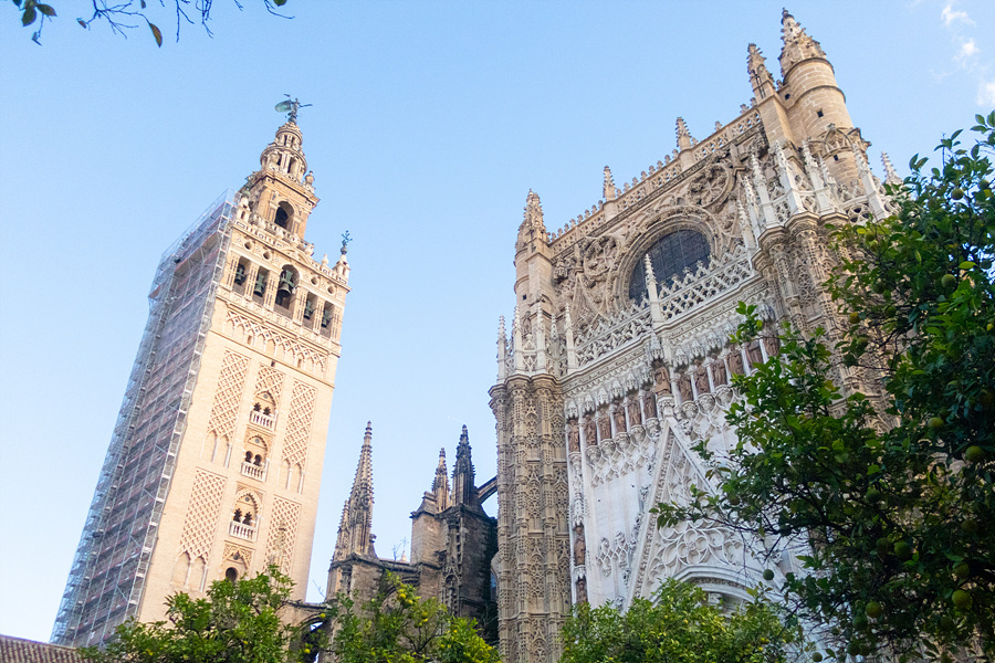 스페인 자유 여행 세비야 대성당 스페인광장 10월 해외여행지 추천