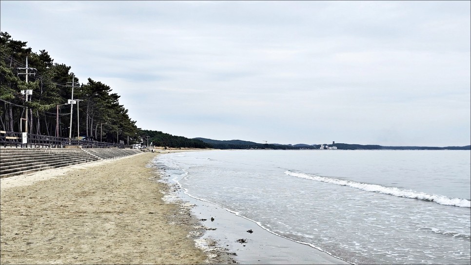 서해 바다 추천 태안 해변길 몽산포 캠핑장 전망대 두여해수욕장 서해안 주말 여행!