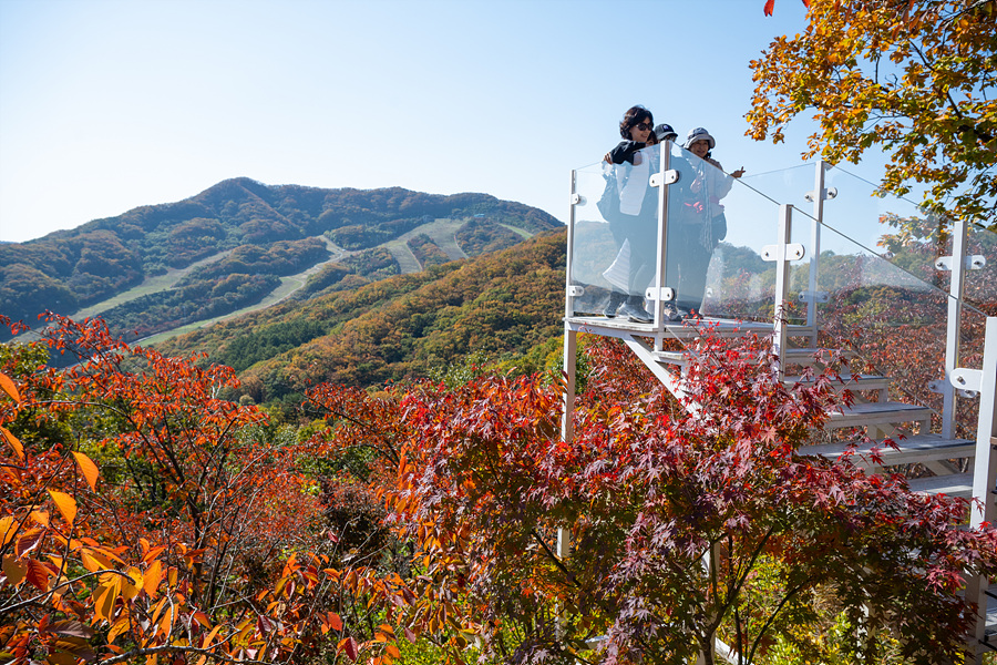 가을 단풍명소 경기도 곤지암 화담숲 단풍시기 모노레일 화담숲 예약