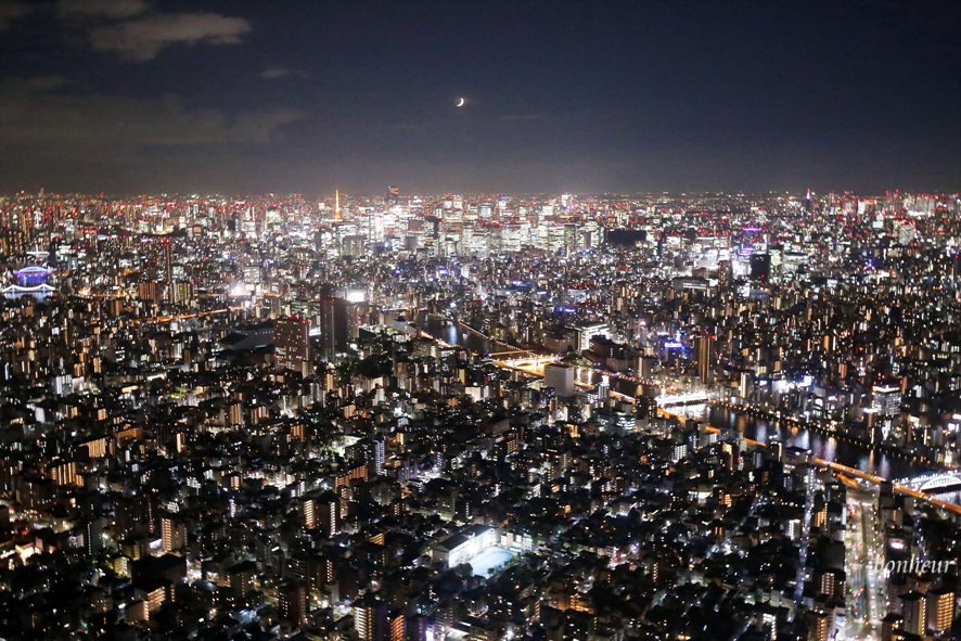 일본 환율, 포켓와이파이 도시락 10% 할인 무제한 가격과 사용법
