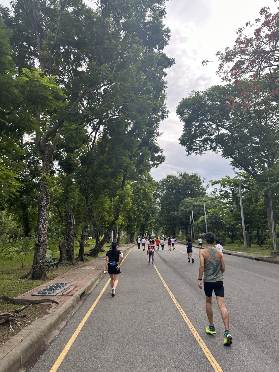 태국 방콕 여행 일상-6 실롬 4성급 호텔에서 룸피니공원 산책하며 물왕도마뱀 구경하기 / 마하나콘 방문기