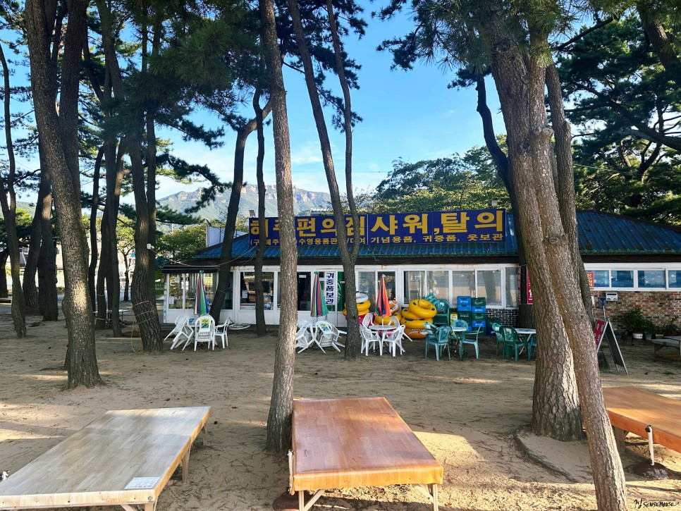 남해 상주 은모래비치 해수욕장 오토 캠핑장 경남 캠핑 성지 추천