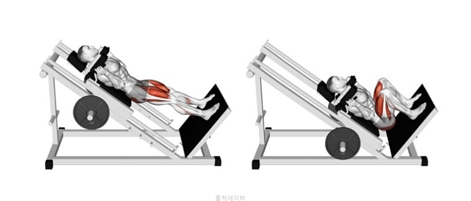 하체 근력 운동 스쿼트 종류 바벨 백스쿼트 프론트스쿼트 핵스쿼트 머신 자세 효과 호흡