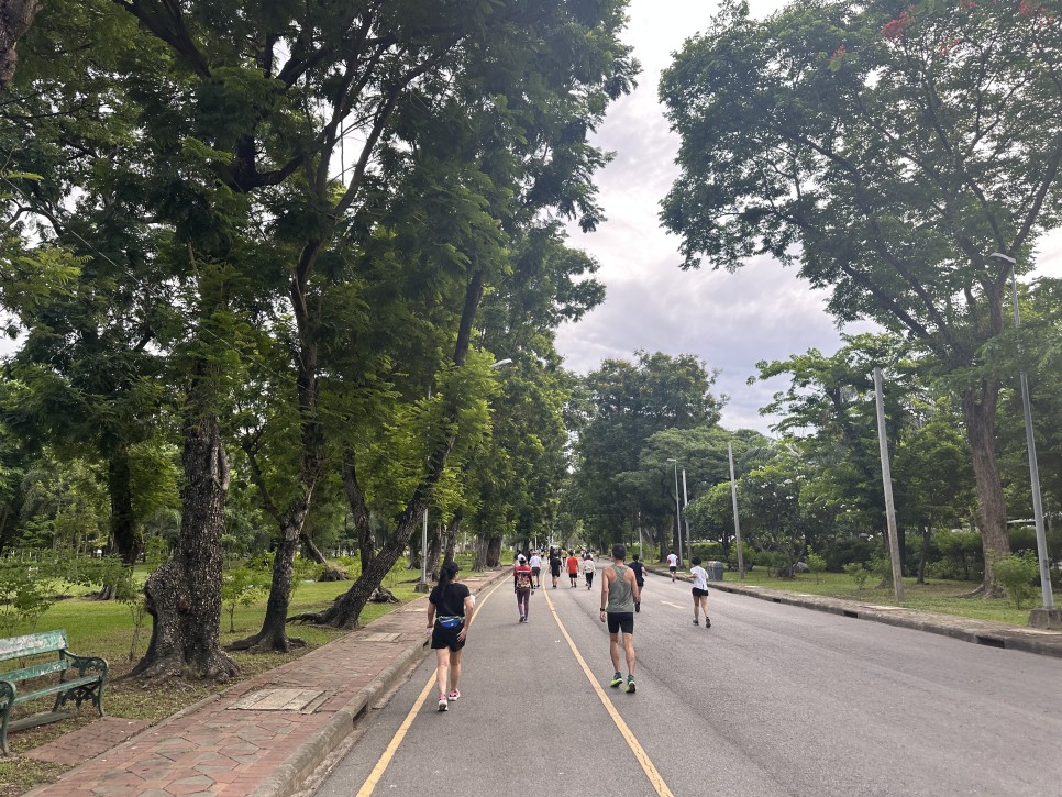 태국 방콕 여행 일상-6 실롬 4성급 호텔에서 룸피니공원 산책하며 물왕도마뱀 구경하기 / 마하나콘 방문기