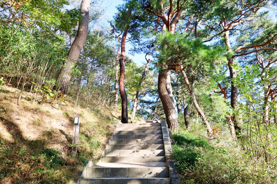 강원도 고성 가볼만한곳 겨울 12월 국내 여행지 추천