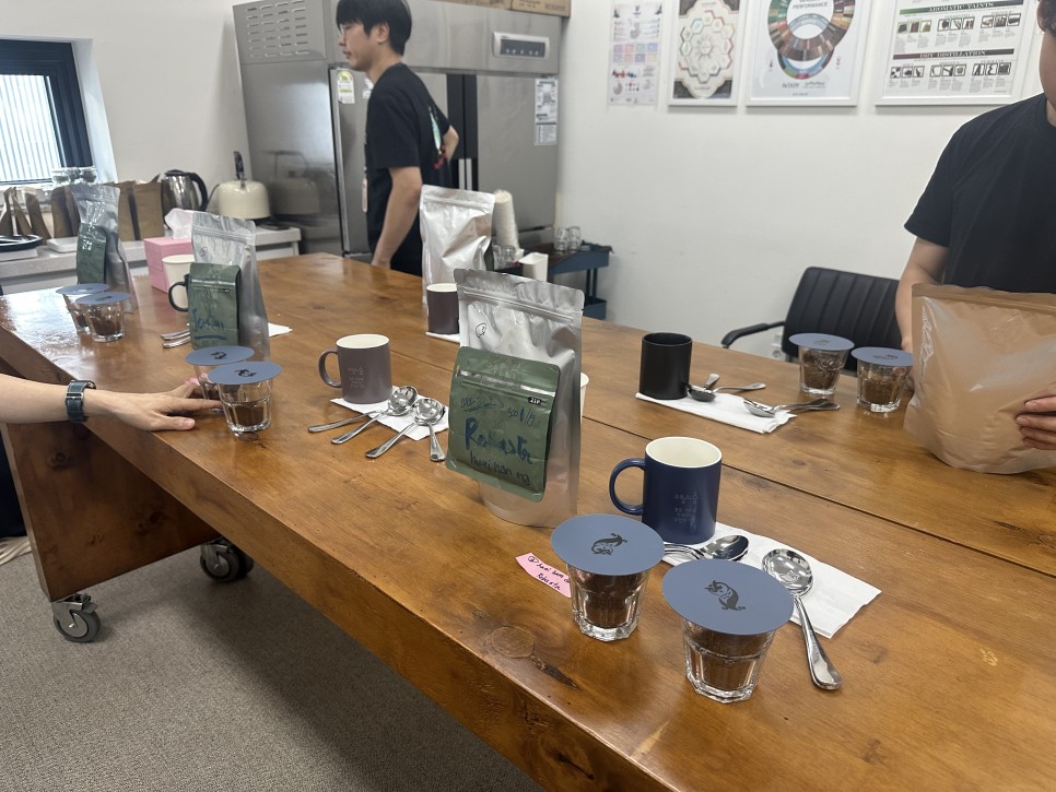 천안 오월의숲 카페 대표님과 치앙라이 도이창 생두 샘플 커핑 후기 및 방법 /한국 스페셜티 커피학원 추천
