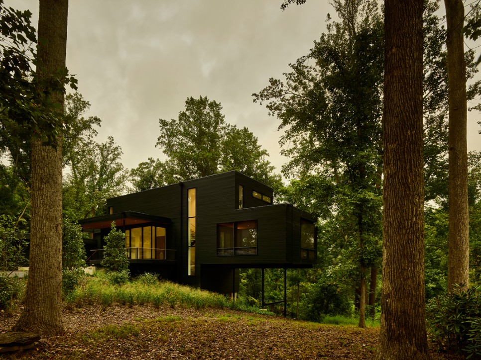 상실감 치유를 위해 자연 몰입형 구조로 지은 숲속의 살림집, Virginia Tree House by Robert Young Architects