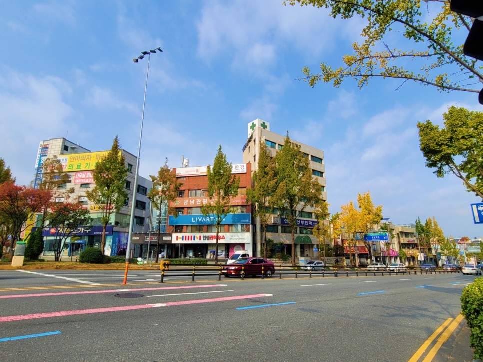 대전 빌딩 매매 7차선 대로변 클리닉 건물(ft 대지 넓고, 교통·주차 편리)