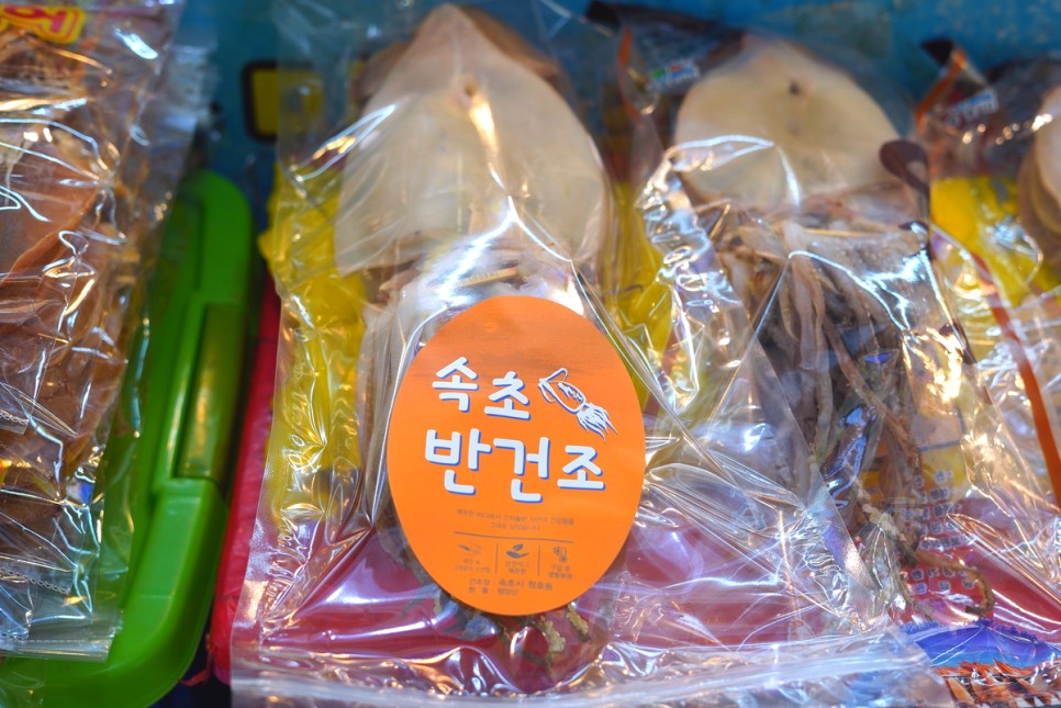 속초 중앙시장 먹거리 주차장 정보 술빵 닭강정 속초샌드 후기