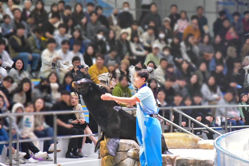 제주 핫플 제주도 아이와 가볼만한곳 제주 아쿠아플라넷