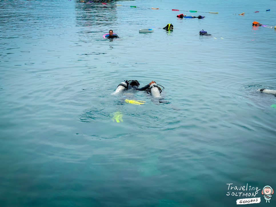 베트남 나트랑 호핑투어 혼문섬 스노쿨링 체험 다이빙 후기