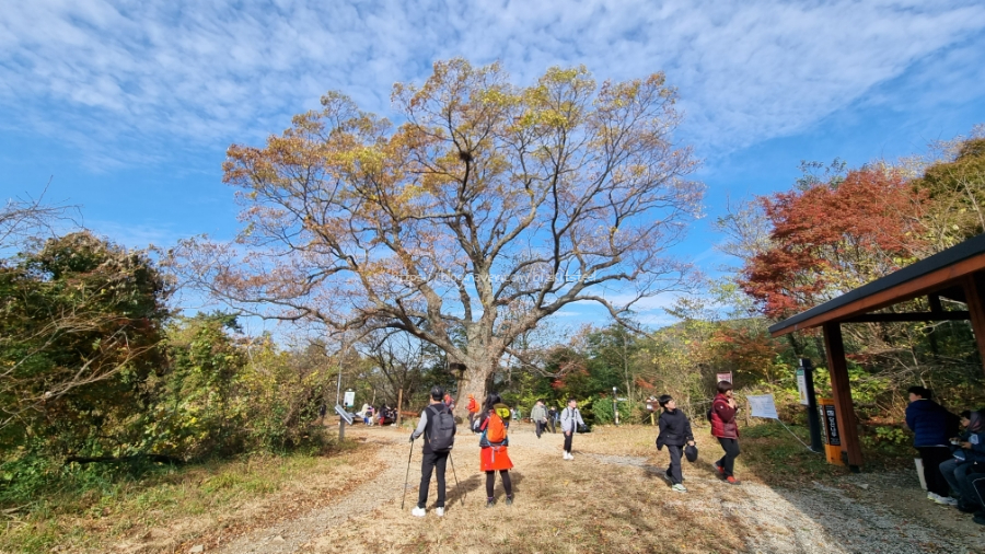 [광주여행] 무등산 등산 : 중머리재 코스, 입석대