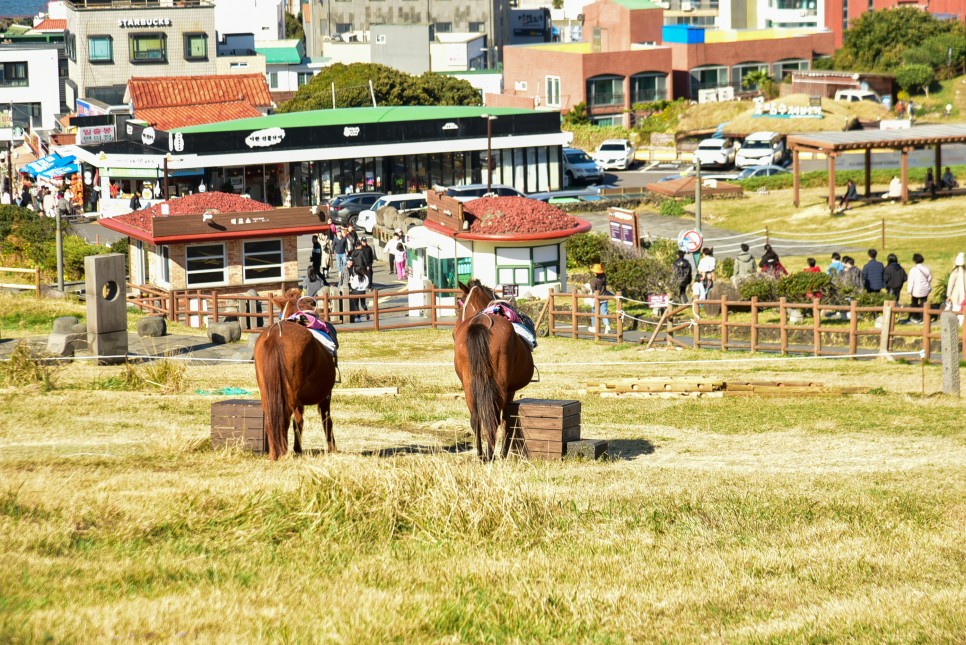 제주 동쪽 가볼만한곳 성산일출봉 낮 풍경