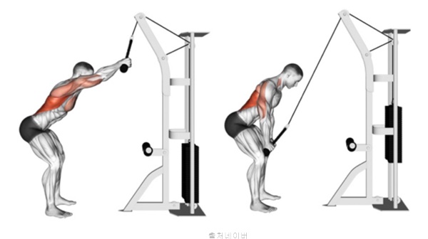 헬스 등운동 기구 렛풀다운 랫풀다운 암풀다운 자세 호흡법 머신 자극 효과