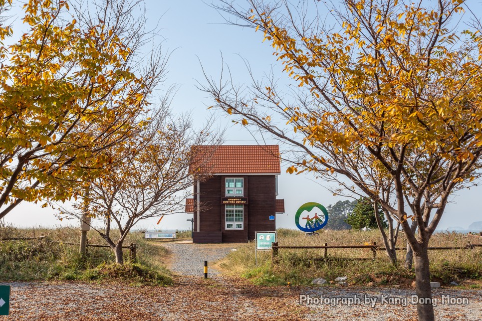 태안 여행 태안 가볼만한곳 학암포 해수욕장 서해 바다 캠핑장 당일치기 감성 글램핑