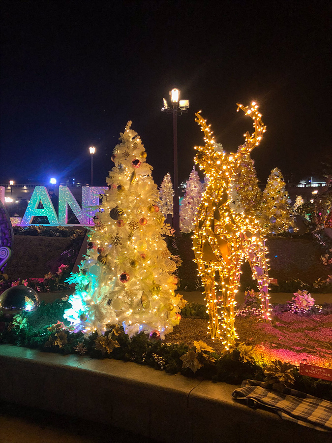 용인 테마파크 에버랜드 크리스마스 여행 사파리 불꽃놀이 퍼레이드