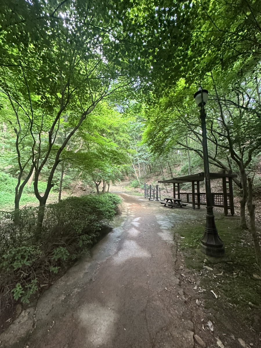 용인 석성산 등산코스 백현고등학교 동백순환산책로 갈림길 정상