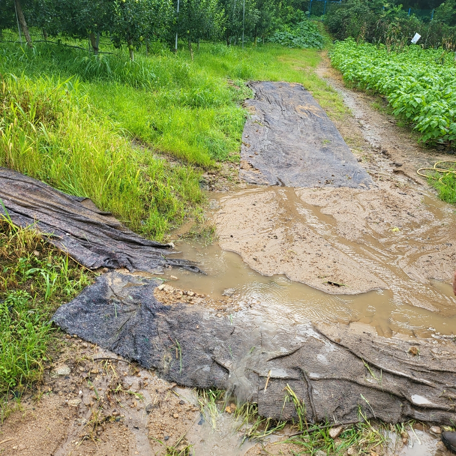 태풍 힌남노, 폭우 인한 농장 피해 상황