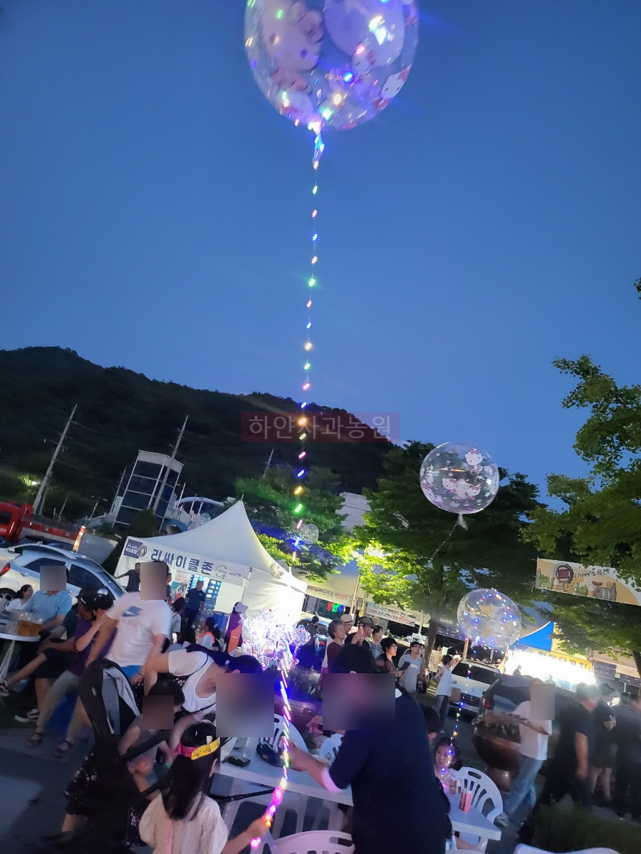 홍천강 별빛 음악 맥주 축제 후기