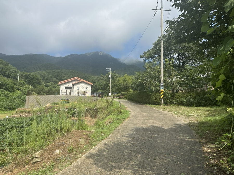 예산 가야산 등산코스 가야산 주차장 석문봉 사자바위 소원바위 거북바우ㅣ 가야봉 원점회귀