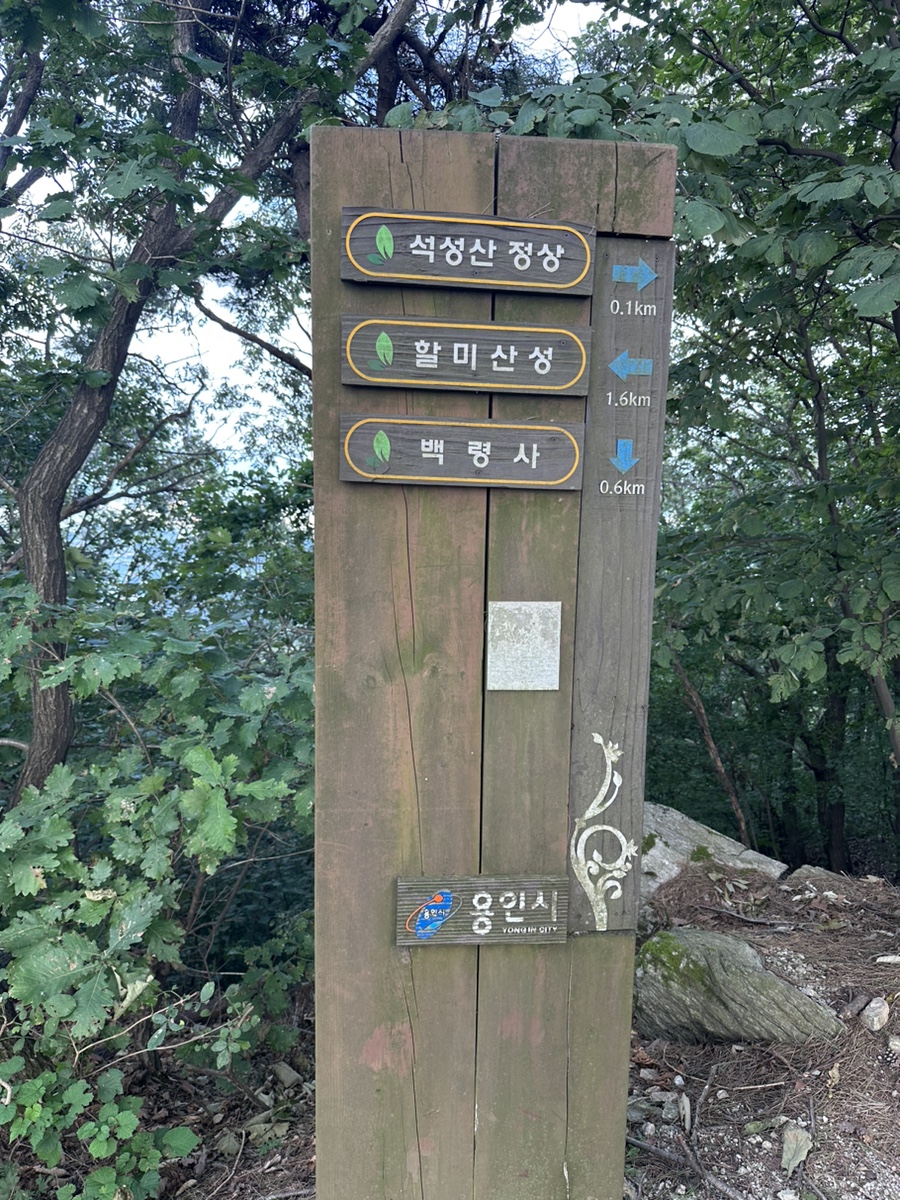 용인 석성산 최단코스 천인사 정상 원점회귀