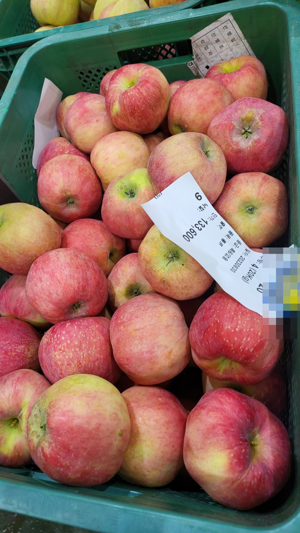 사과 가격이 미친것 같습니다. 사과 농부로서 죄송한 마음뿐입니다.