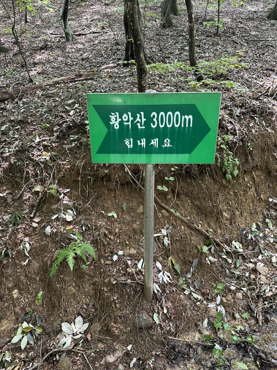 김천 황악산 등산코스 직지사 운수암 정상 원점회귀