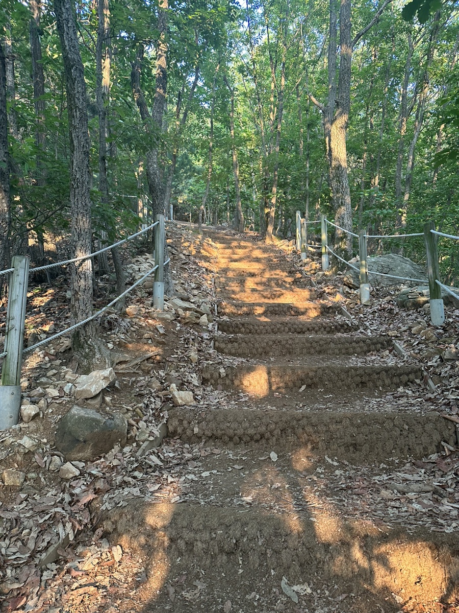 용인 석성산 등산코스 백현고등학교 동백순환산책로 갈림길 정상