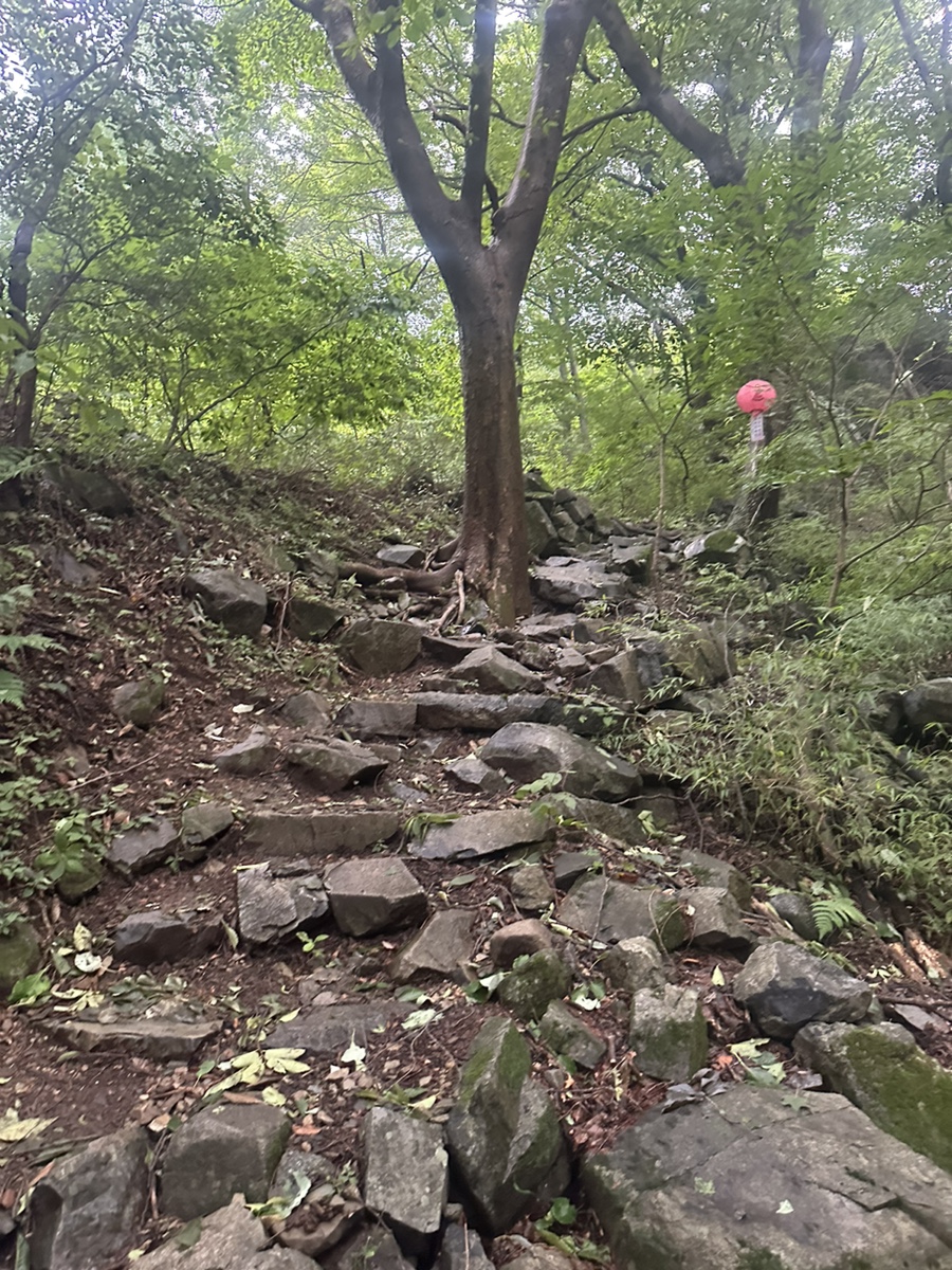 보령 오서산 최단코스 오서산 자연휴양림  월정사 정상 원점회귀