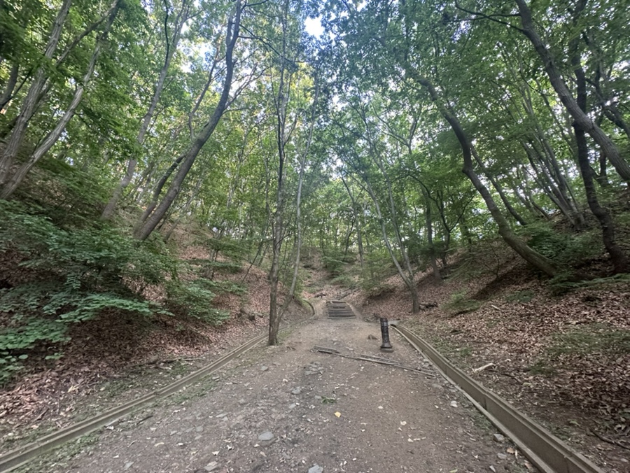 용인 석성산 등산코스 백현고등학교 동백순환산책로 갈림길 정상