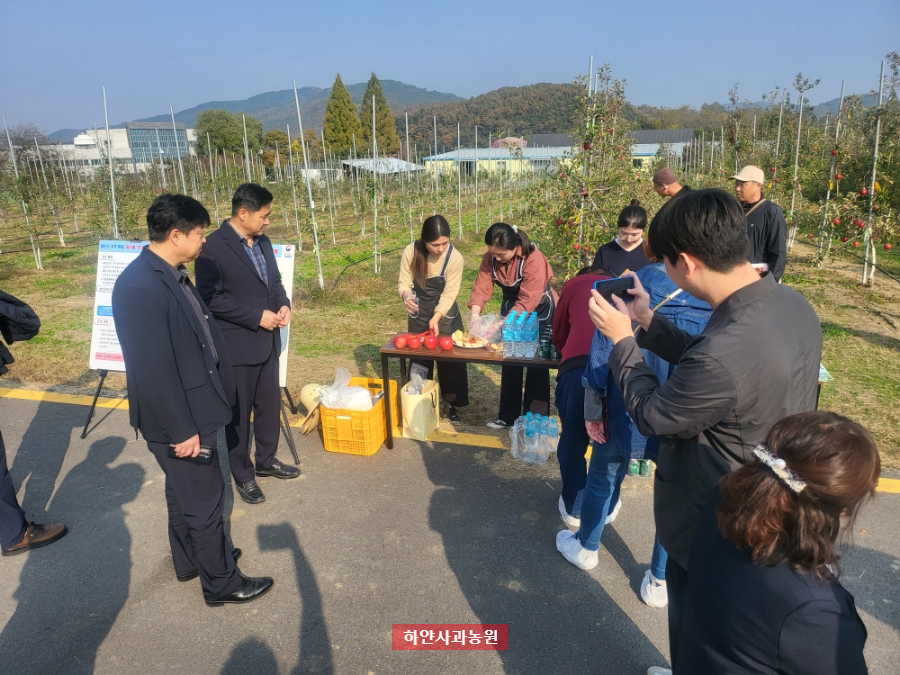 홍천 사과 신품종 컬러플 현장 설명회(사과연구소, 네오게임즈)