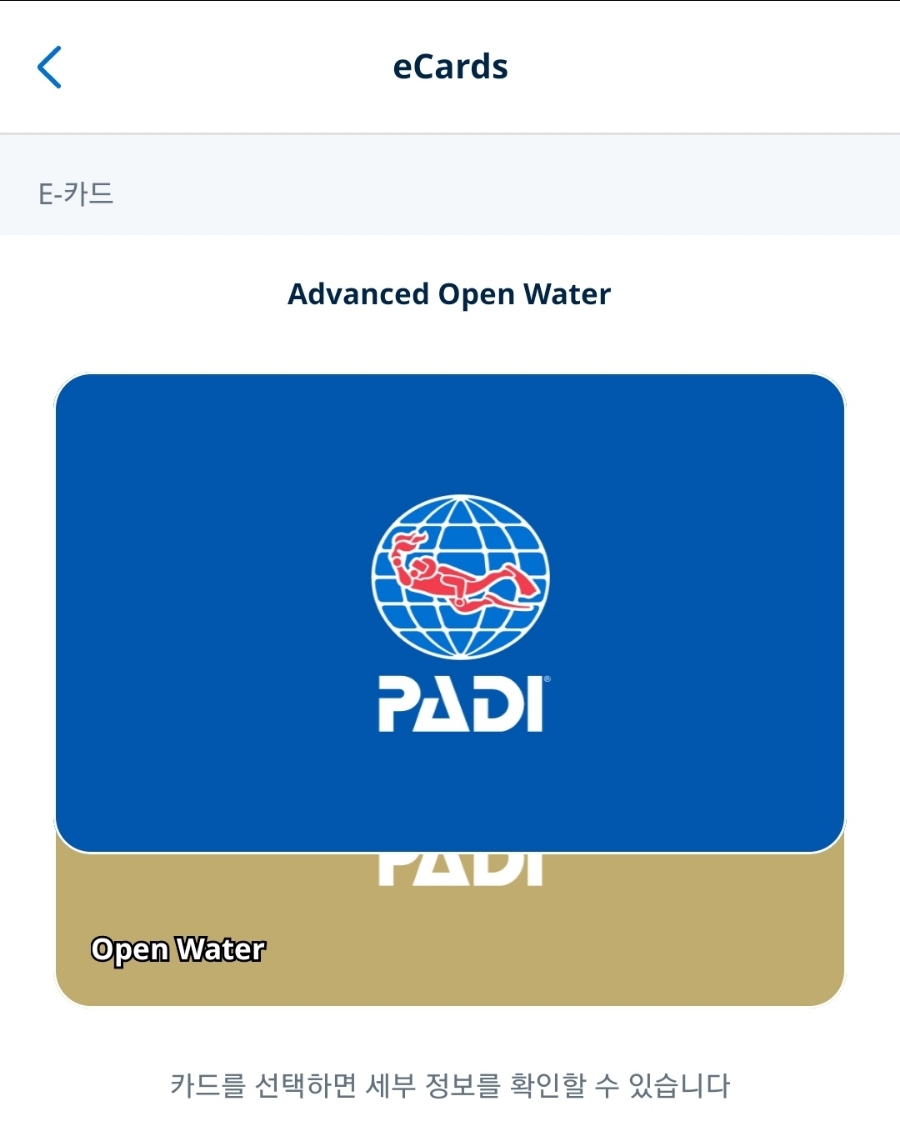 제주스쿠버다이빙 PADI 어드밴스드 자격증 후기 w. 바다다이브