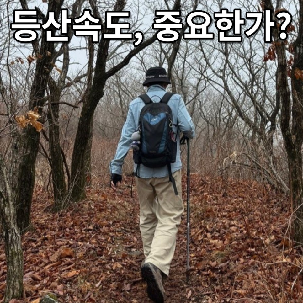 등산속도, 중요한가?