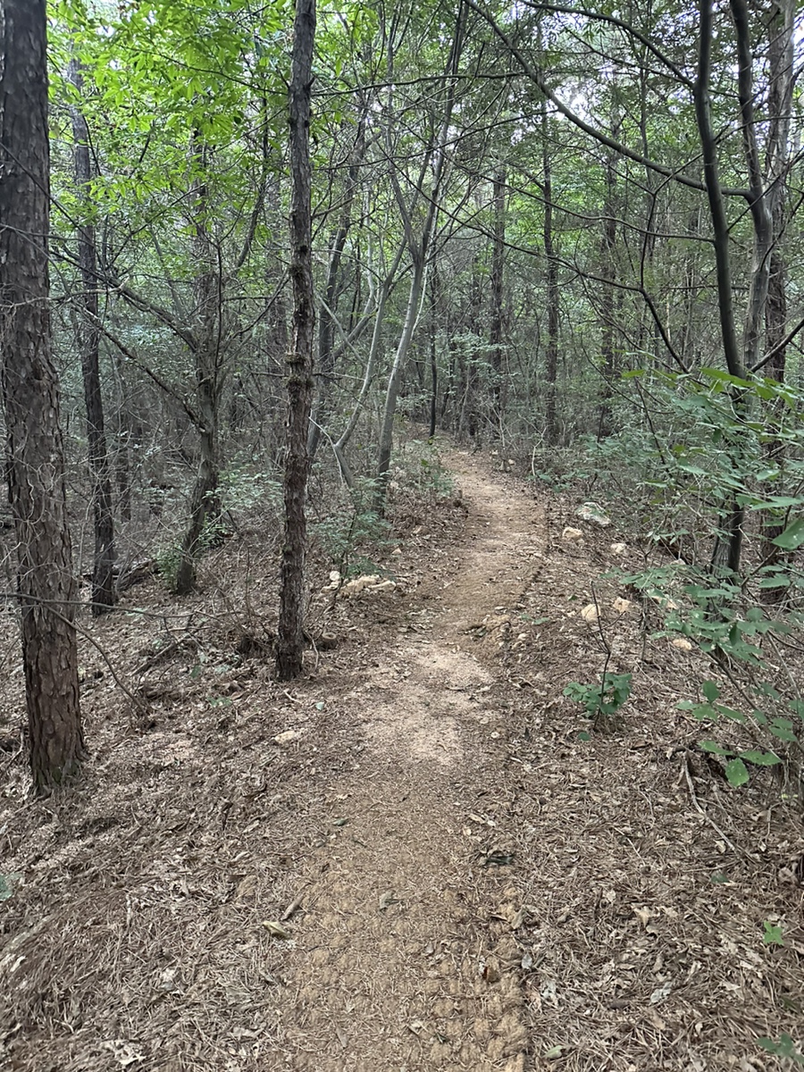 용인 조비산 산행 등산코스 조비산가든 동굴 정상 원점