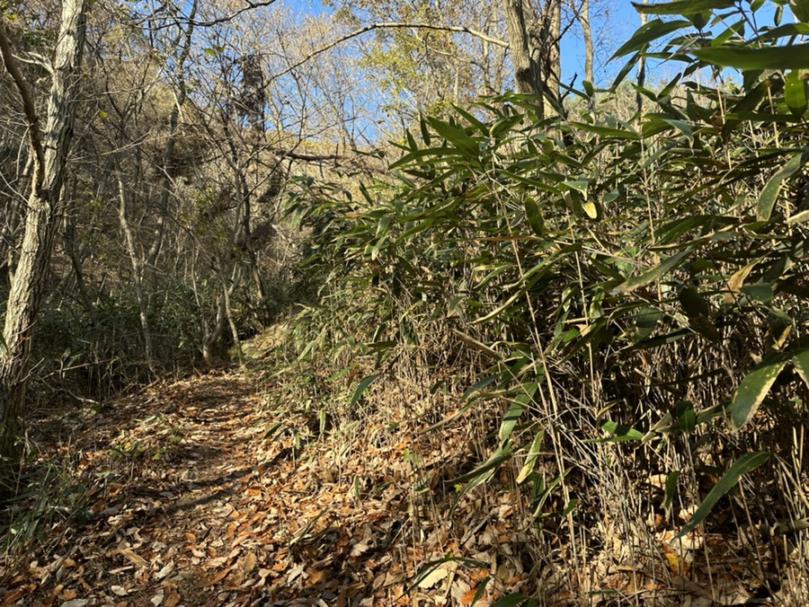 전북 진안 구봉산 등산코스 구봉산교회 코스