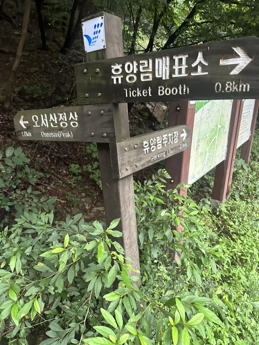 보령 오서산 최단코스 오서산 자연휴양림  월정사 정상 원점회귀