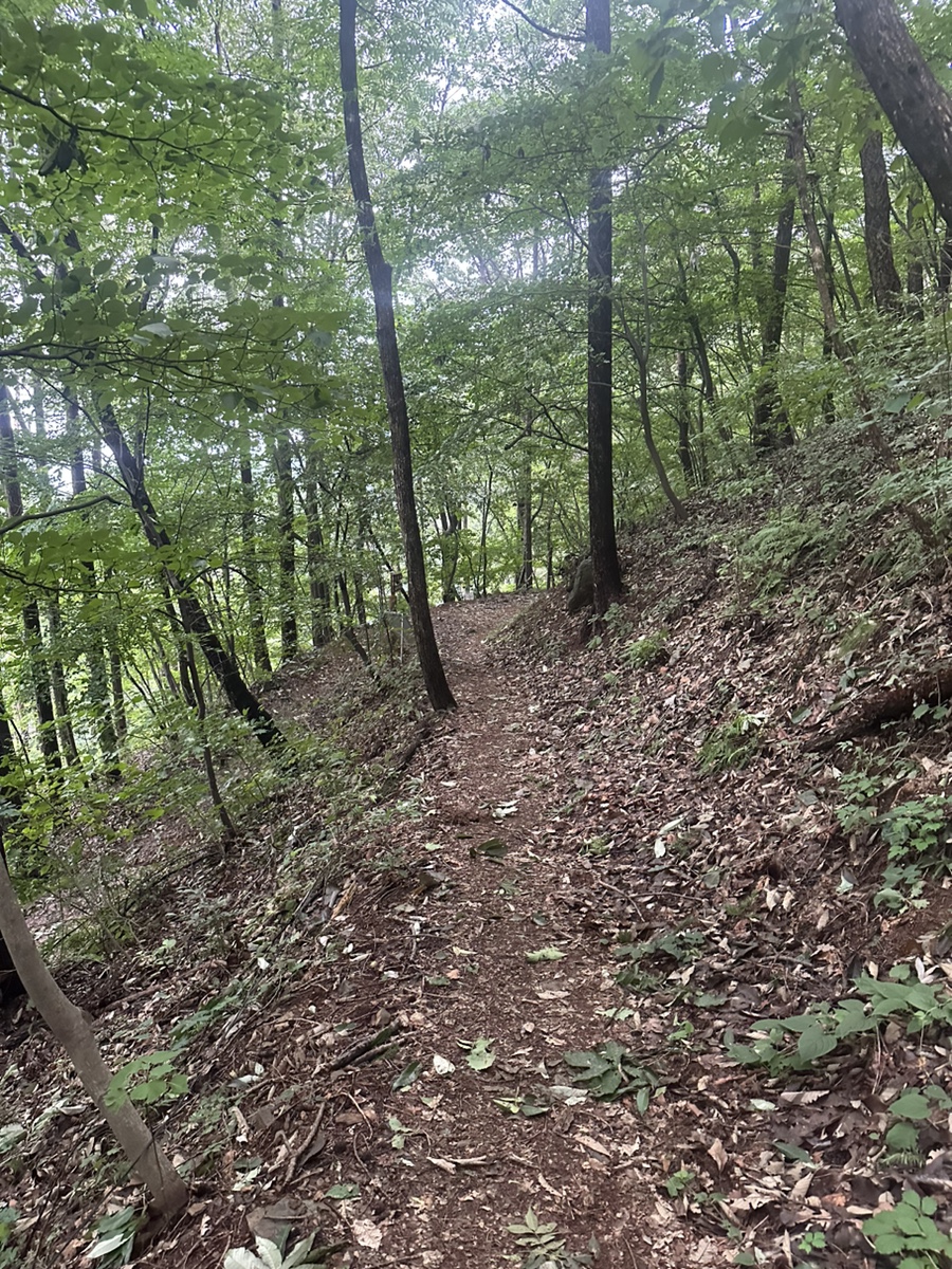 보령 오서산 최단코스 오서산 자연휴양림  월정사 정상 원점회귀