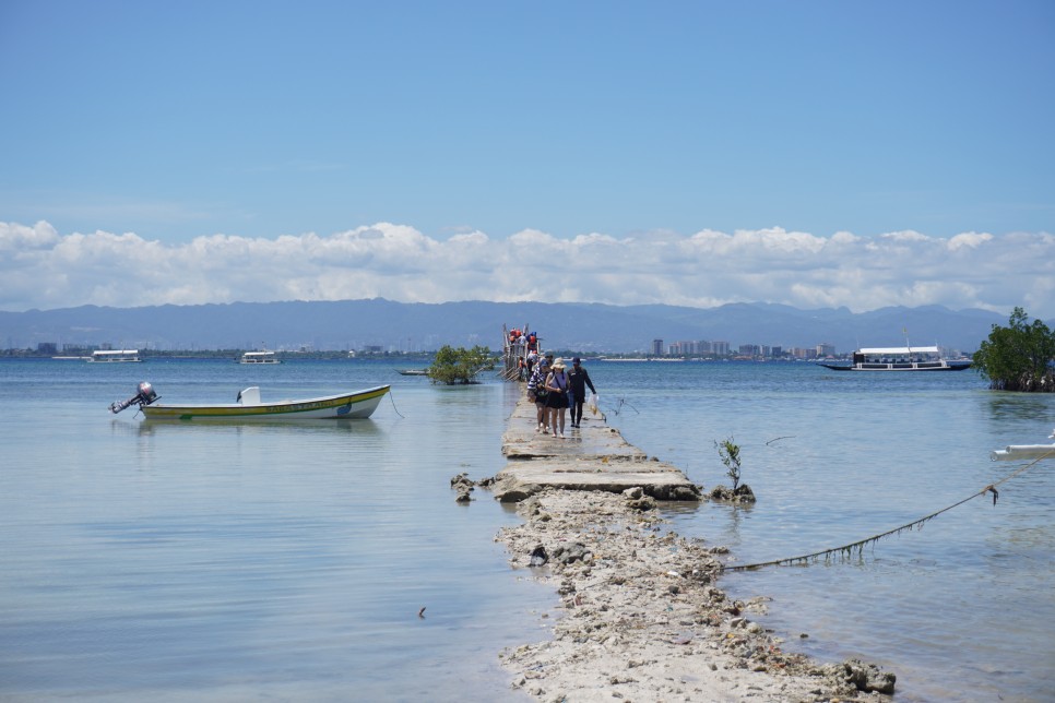 필리핀 세부 여행 비용 경비, 3박5일 자유여행 일정: 고래상어 오슬롭, 호핑투어, 맛집