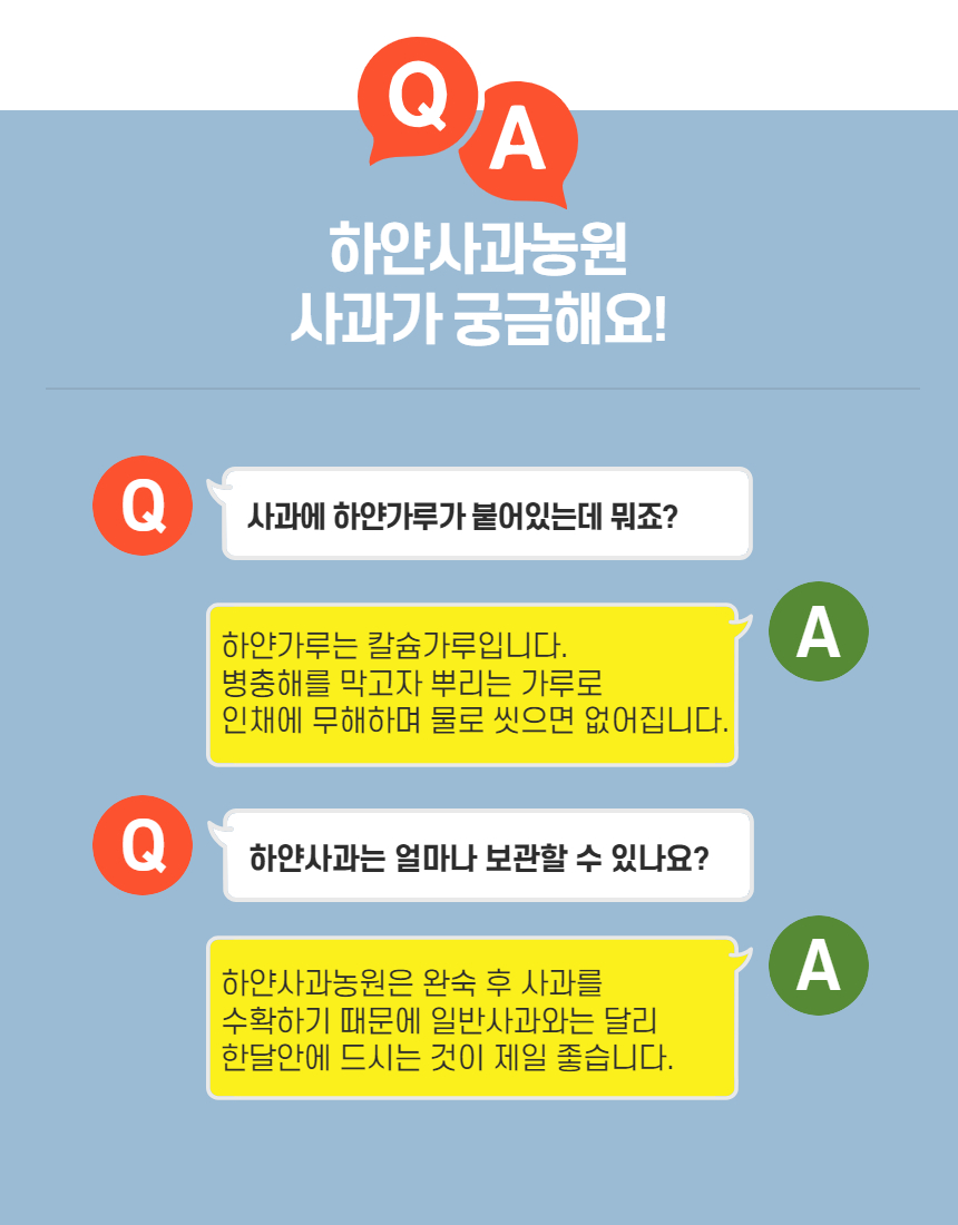 미야비 부사 하얀사과 판매 시작.(사과 판매 안내 및 구입처 링크)