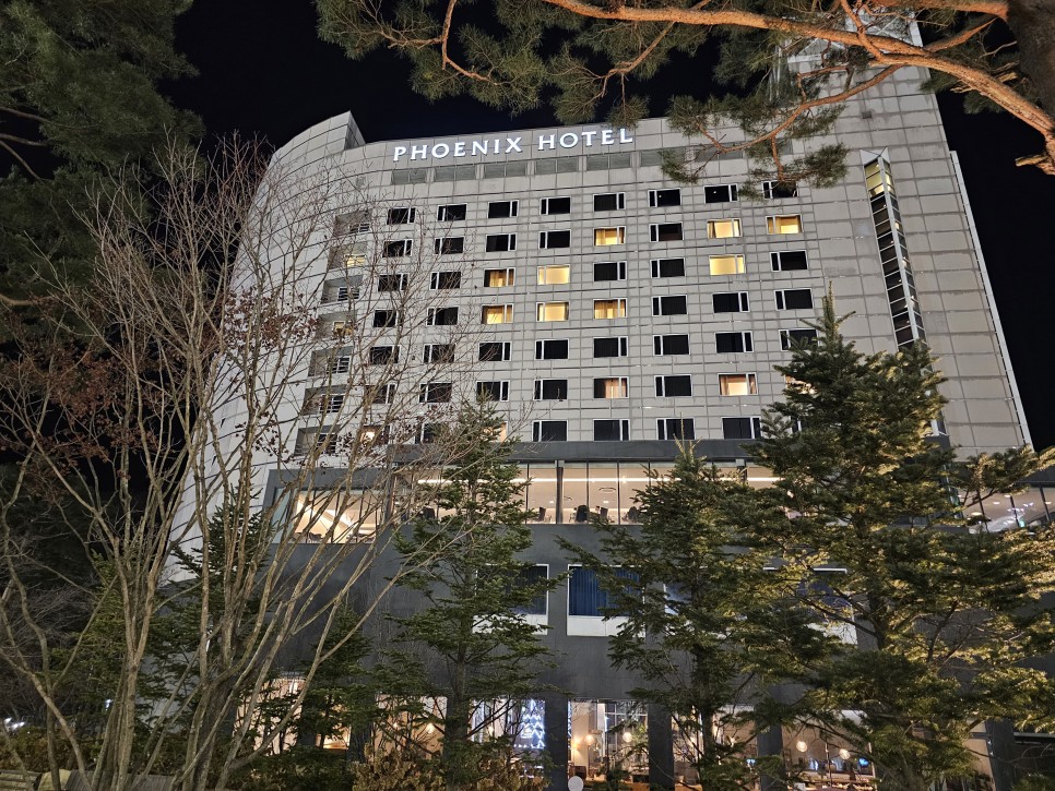 평창 휘닉스파크 호텔 겨울 여행 패키지 이용 후기