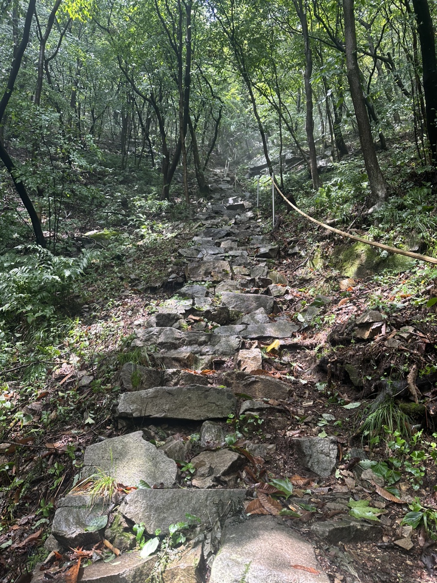 예산 가야산 등산코스 가야산 주차장 석문봉 사자바위 소원바위 거북바우ㅣ 가야봉 원점회귀