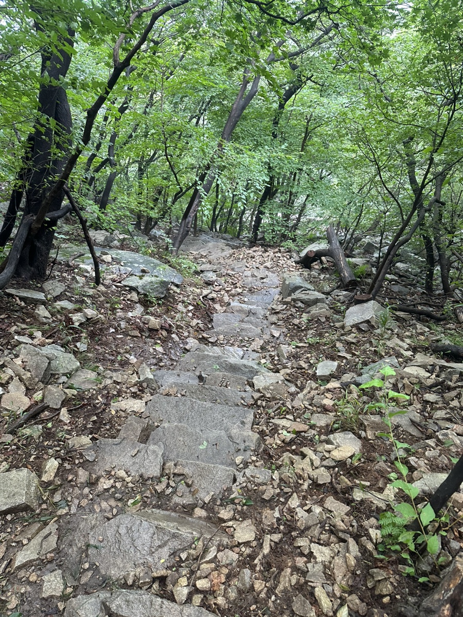 예산 가야산 등산코스 가야산 주차장 석문봉 사자바위 소원바위 거북바우ㅣ 가야봉 원점회귀