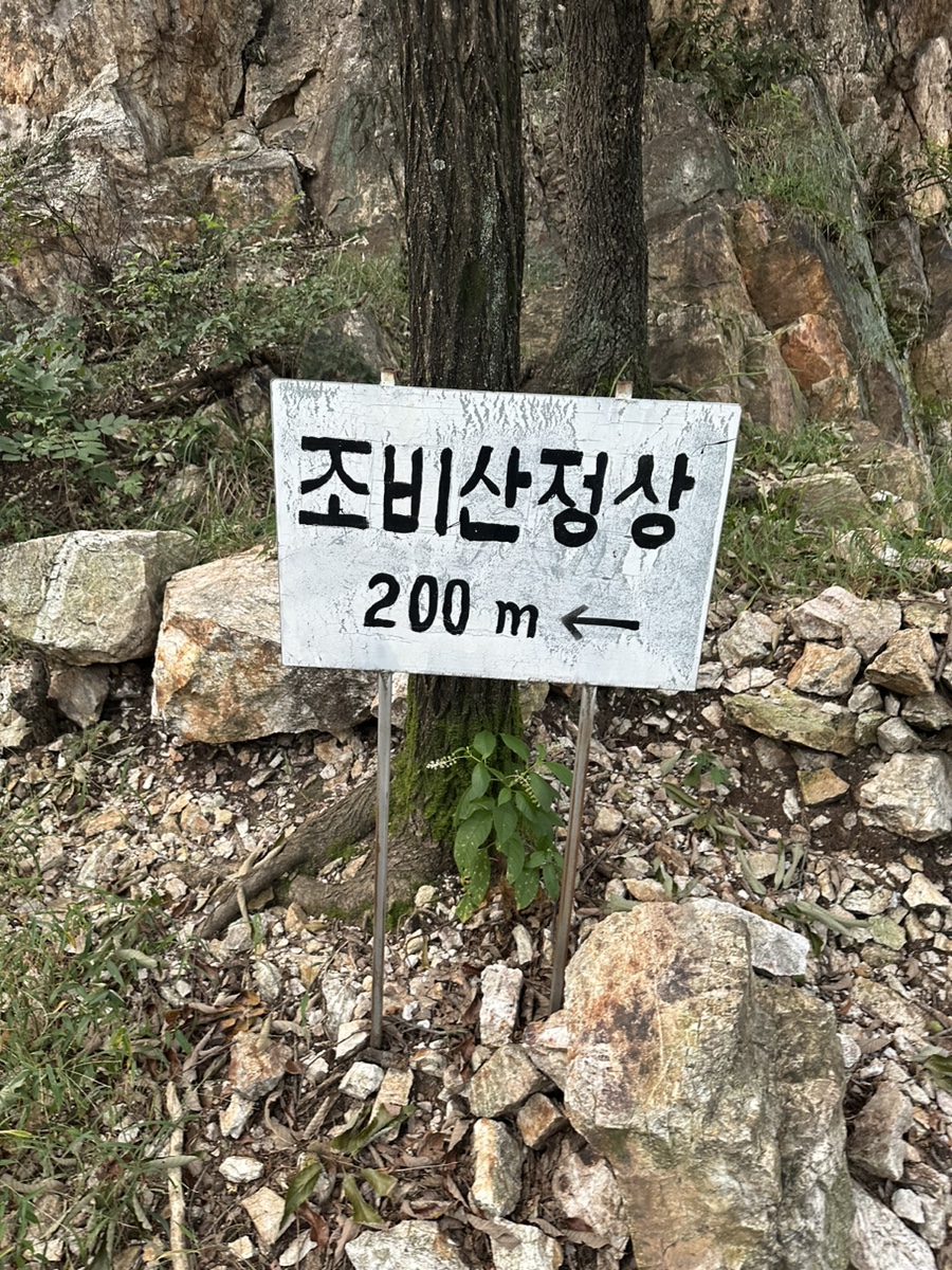 용인 조비산 산행 등산코스 조비산가든 동굴 정상 원점