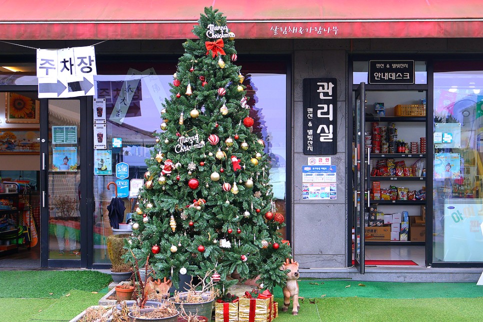 파주 가볼만한곳 파주 캠핑 식당 당일치기 데이트 코스 애견동반 OK